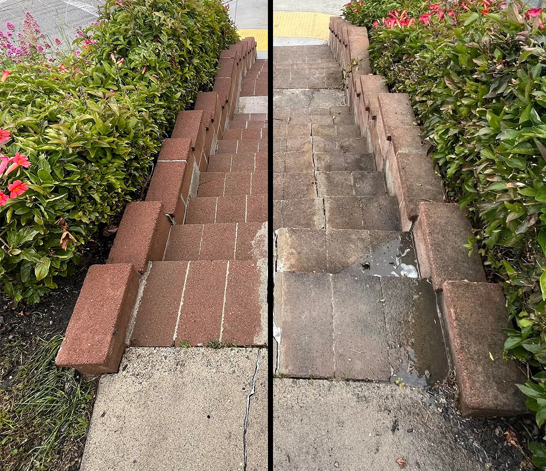 Power washing service cleans dirty brick stairs surrounded by greenery